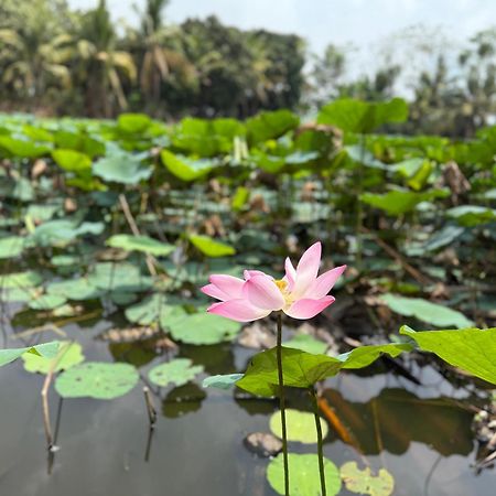 Ostello Hương Tràm Ho Da Esterno foto