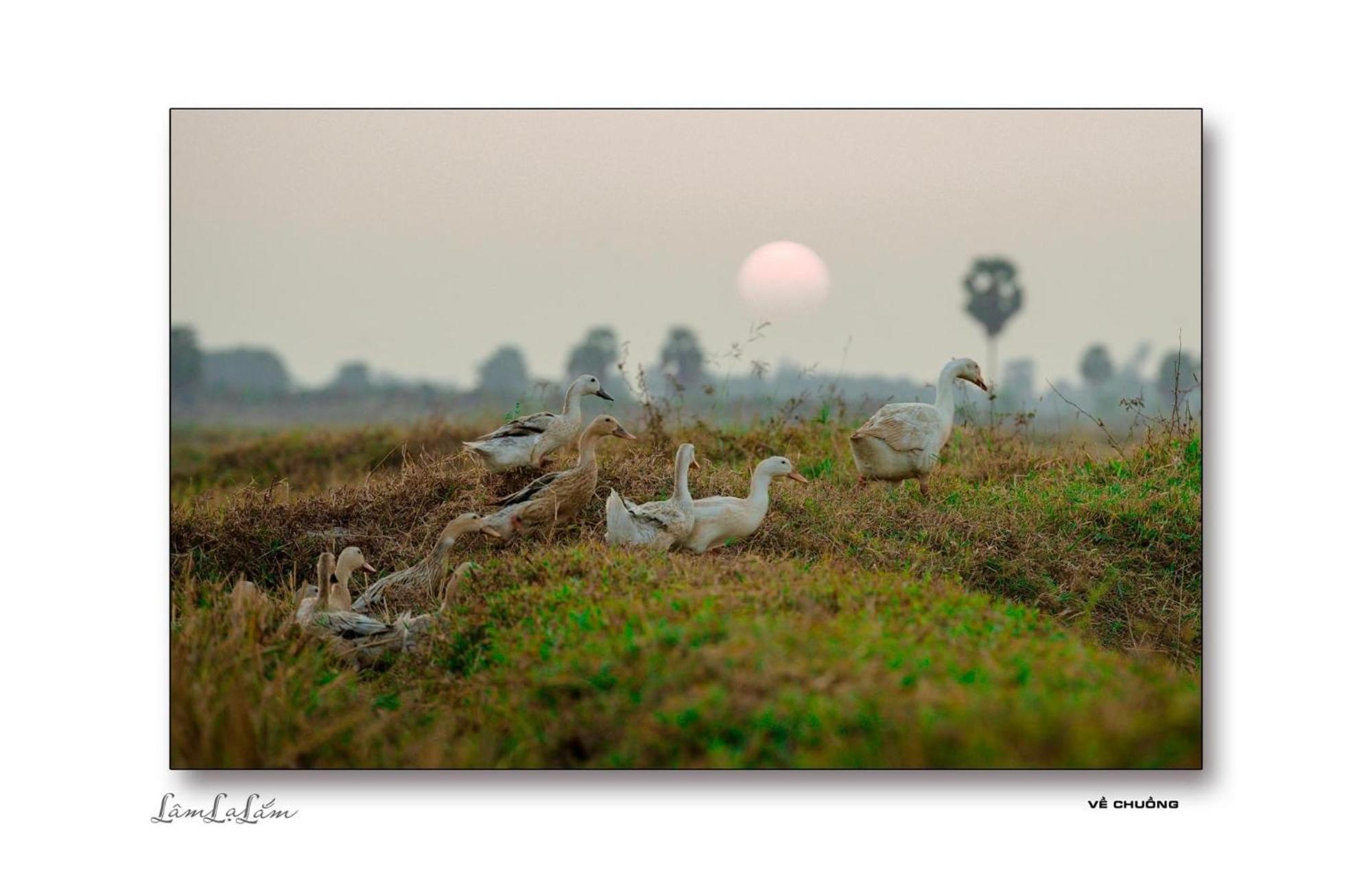 Ostello Hương Tràm Ho Da Esterno foto