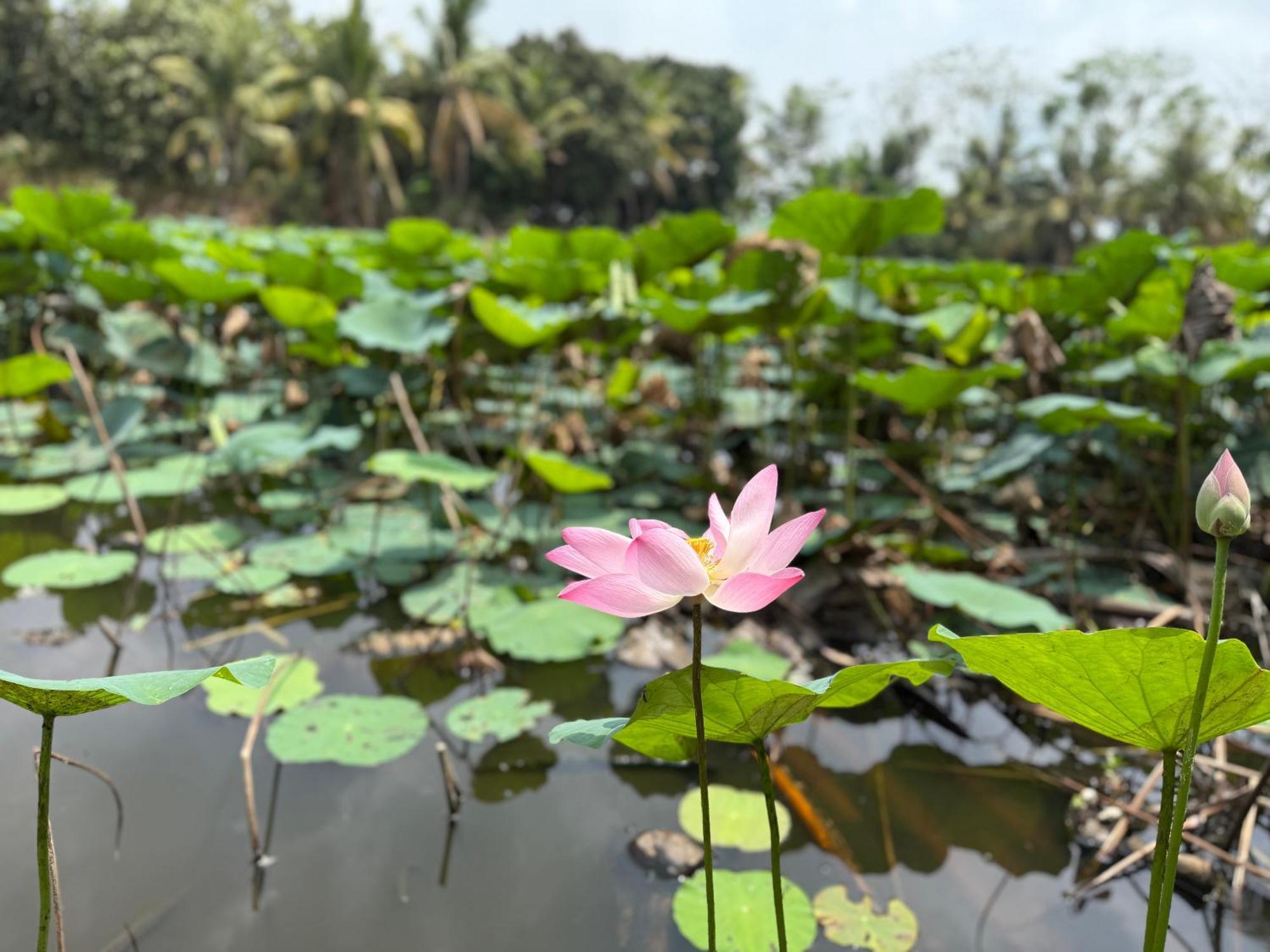 Ostello Hương Tràm Ho Da Esterno foto